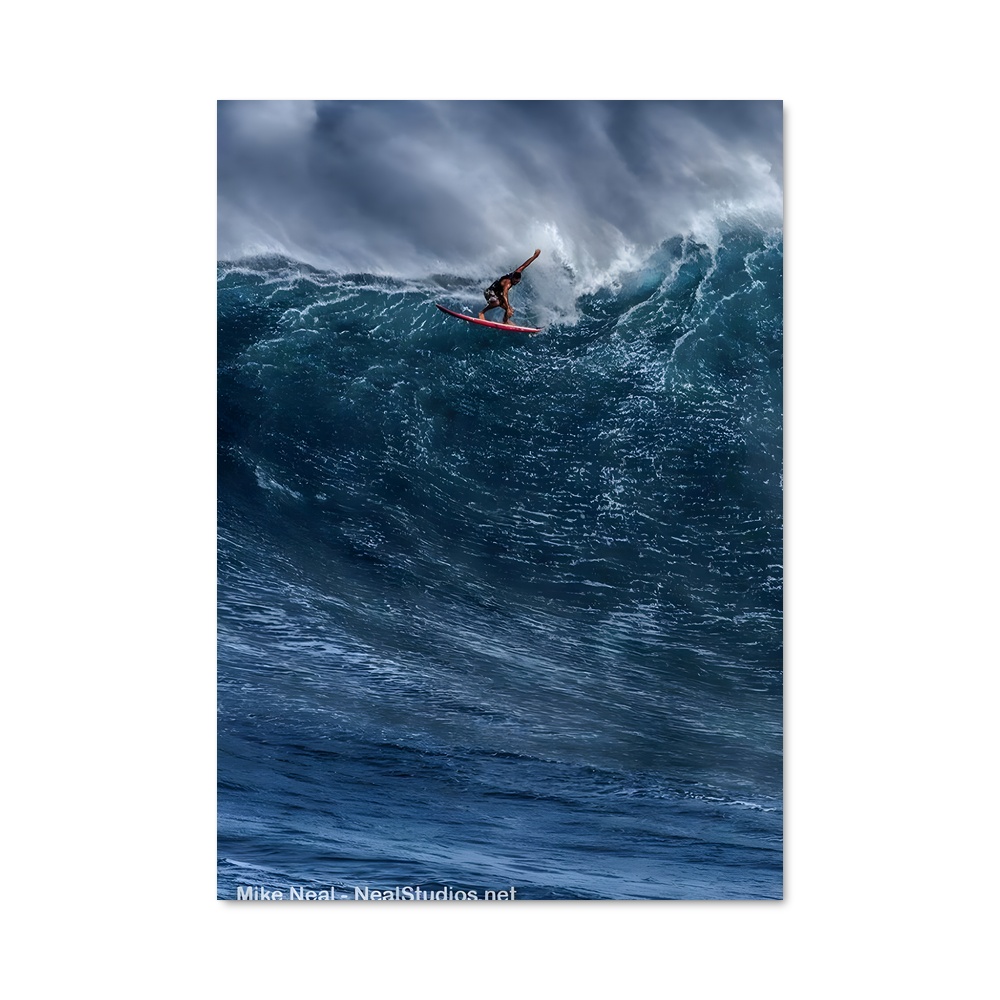 Poster Surfing the Abyss
